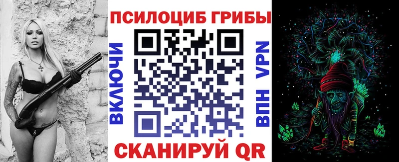 Галлюциногенные грибы прущие грибы  Алексин 